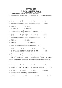 期中综合练（1-4单元）（试题）-六年级上册数学人教版