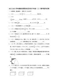 湖南省邵阳市武冈市2022-2023学年六年级上学期期中数学试卷