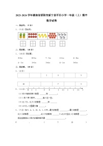 2023-2024学年湖南省邵阳市新宁县军田小学一年级（上）期中数学试卷