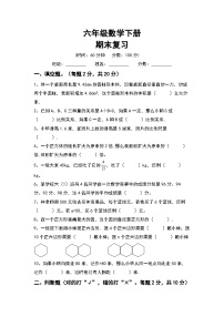 期末复习(试题)-+六年级下册数学西师大版