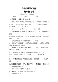 期末复习卷(试题)+六年级下册数学人教版