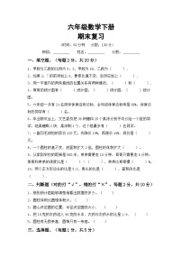 期末复习(试题)+六年级下册数学西师大版