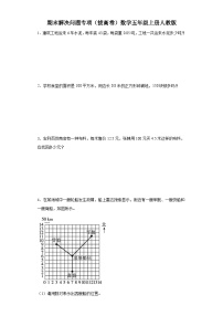 期末解决问题专项（拔高卷）数学五年级上册人教版