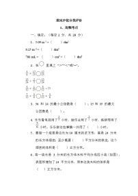 期末复习（试题）五年级数学下册冀教版