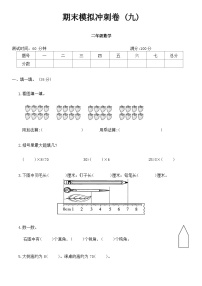 +期末模拟冲刺卷+(九)（试题）人教版二年级上册数学