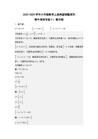 期中典例专练十：解方程-2023-2024学年六年级数学上册典型例题系列（解析版）人教版