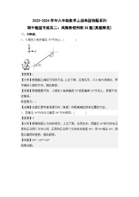 期中题型专练其二：高频易错判断30题[真题精选]]-2023-2024学年六年级数学上册典型例题系列（解析版）人教版