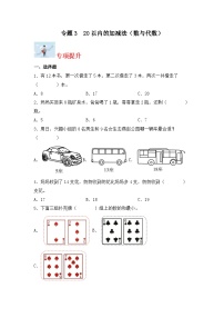 专题3   20以内的加减法（数与代数）-2023-2024学年一年级上册数学寒假专项提升（北师大版）