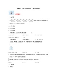 专题3 数一数与乘法（数与代数）-2023-2024学年二年级上册数学寒假专项提升（北师大版）