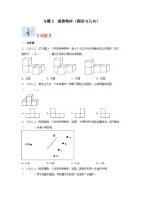 专题6观察物体（图形与几何）-2023-2024学年六年级上册数学寒假专项提升（北师大版）