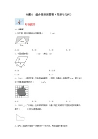 专题6组合图形的面积（图形与几何）-2023-2024学年五年级上册数学寒假专项提升（北师大版）