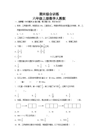 期末综合训练(试题)-六年级上册数学人教版.1