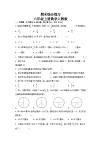 期末综合练习（试题）人教版六年级上册数学