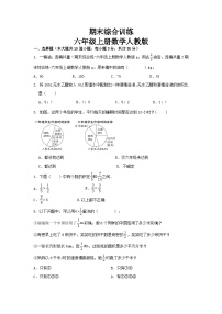 期末综合训练（试题）六年级上册数学人教版.1