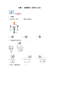 专题7 观察物体（图形与几何）-2023-2024学年二年级上册数学寒假专项提升（苏教版）