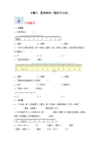 专题6厘米和米（图形与几何）-2023-2024学年二年级上册数学寒假专项提升（苏教版）