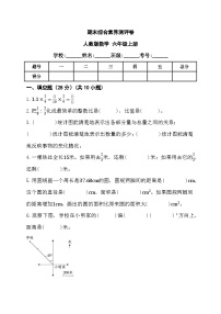 期末综合素养测评卷（试题）人教版六年级上册数学