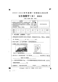 河北省邢台市隆尧县魏庄镇魏庄小学2023-2024学年五年级上学期智力闯关数学试题