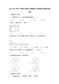 圆  小学数学六年级上学期期末必刷常考题  人教版