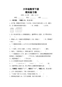 期末练习卷(试题)+-六年级下册数学苏教版