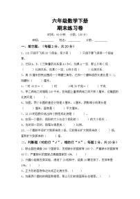 期末练习卷（试题）六年级下册数学西师大版