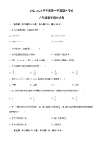 2022-2023学年上海金山区七校联考六年级上学期数学期末考试