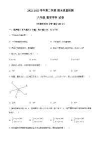 2022-2023学年上海市浦东新区部分学校六年级（五四学制）下学期期末数学试题