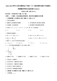 2022-2023学年上海市普陀区六年级下学期期末数学试题