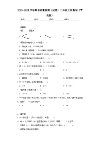 期末质量检测（试题）二年级上册数学青岛版