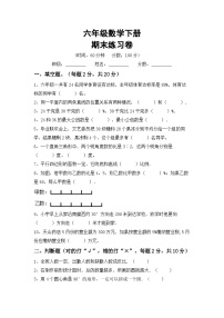 期末练习卷(试题)+六年级下册人教版数学