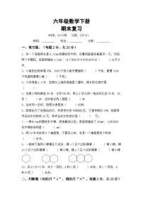 期末复习(试题)+六年级下册数学人教版