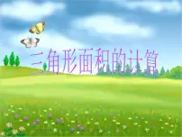小学数学苏教版五年级上册二 多边形的面积课文配套课件ppt