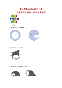 （期末典型题）圆的周长和面积图形计算（易错专项突破）-小学数学六年级上册期末高频易错题（人教版）