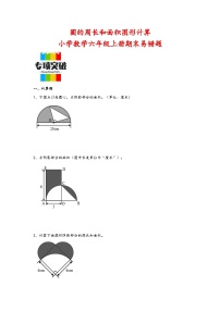 （期末典型题）圆的周长和面积图形计算（易错专项突破）-小学数学六年级上册期末高频易错题（北师大版）