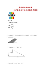 （期末典型题）多边形的面积计算（易错专项突破）-小学数学五年级上册期末高频易错题（苏教版）