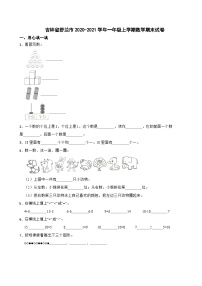 吉林省舒兰市2020-2021学年一年级上学期数学期末试卷