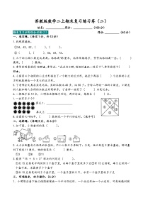 期末复习练习卷（试题）-二年级上册数学苏教版