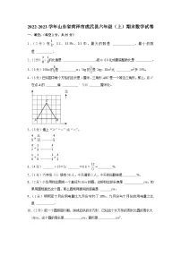 山东省菏泽市成武县2022-2023学年六年级上学期期末数学试卷