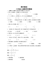 期末复习（试题）六年级上册数学苏教版