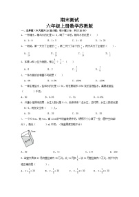 期末复习卷（试题）六年级上册数学苏教版