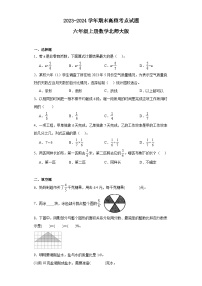 期末高频考点试题（试题）-六年级上册数学北师大版