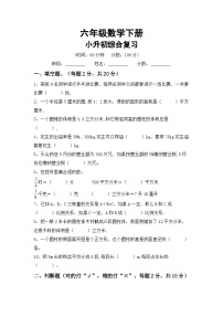 小升初综合复习(试题)+六年级下册人教版数学