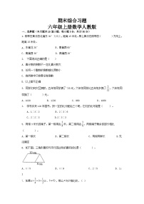 2023-2024学年期末综合习题(试题)-六年级上册数学人教版.1