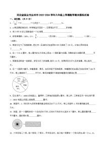 河北省保定市定州市2023-2024学年六年级上学期期末模拟数学试卷