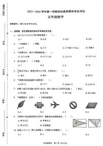 广东省深圳市龙岗区2023-2024学年五年级上学期期末数学试卷