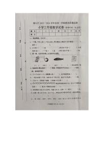 河北省唐山市遵化市2023-2024学年三年级上学期期末数学试题