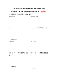 期末典例专练02：小数乘除法列竖式计算“进阶版”-2023-2024学年五年级数学上册典型例题系列（解析版）人教版