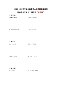 期末典例专练07：解方程“进阶版”-2023-2024学年五年级数学上册典型例题系列（解析版）人教版