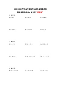 期末典例专练08：解方程“拓展版”-2023-2024学年五年级数学上册典型例题系列（解析版）人教版