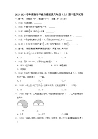 2023-2024学年湖南省怀化市通道县六年级（上）期中数学试卷